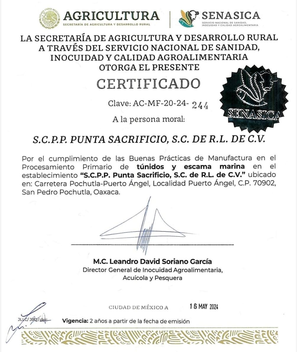 cropped-WhatsApp-Image-2024-06-20-at-02.49.03 CERTIFICACIONES